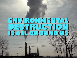 environment