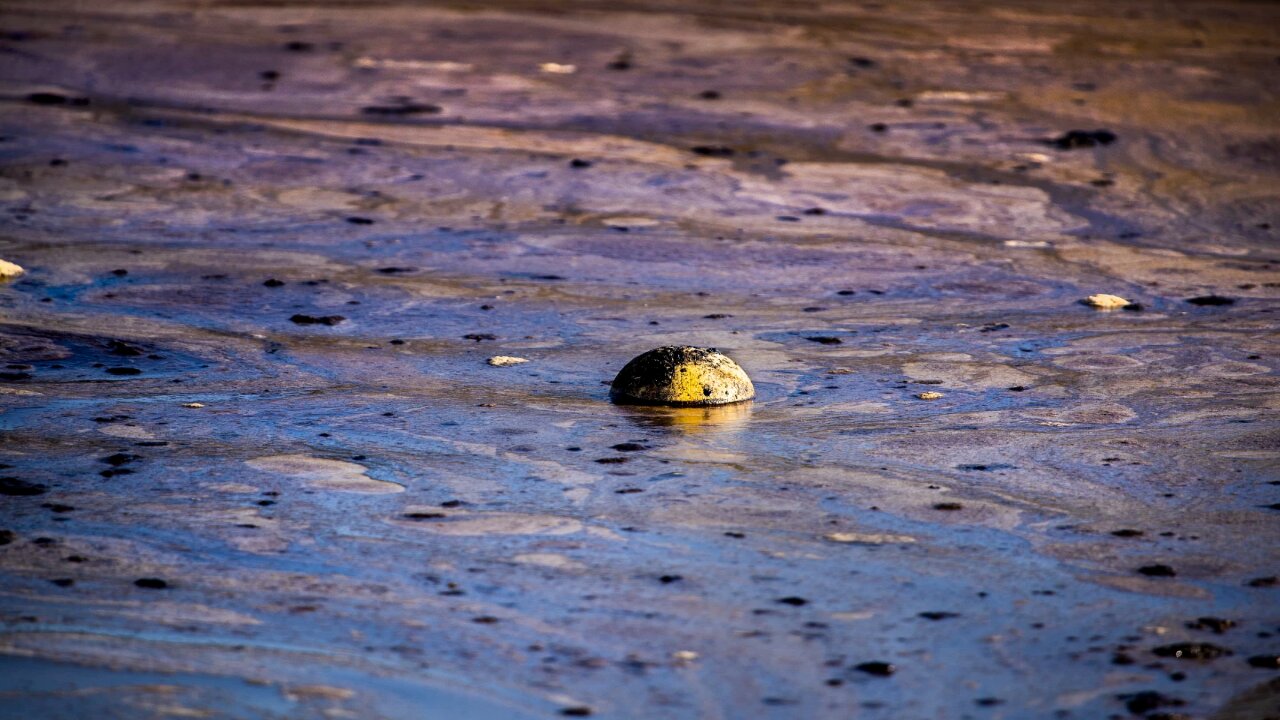 Oil spill