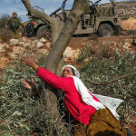 tree-nablus
